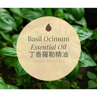【MW精油工坊】香羅勒精油 Basil Ocimum Essential Oil 10ml