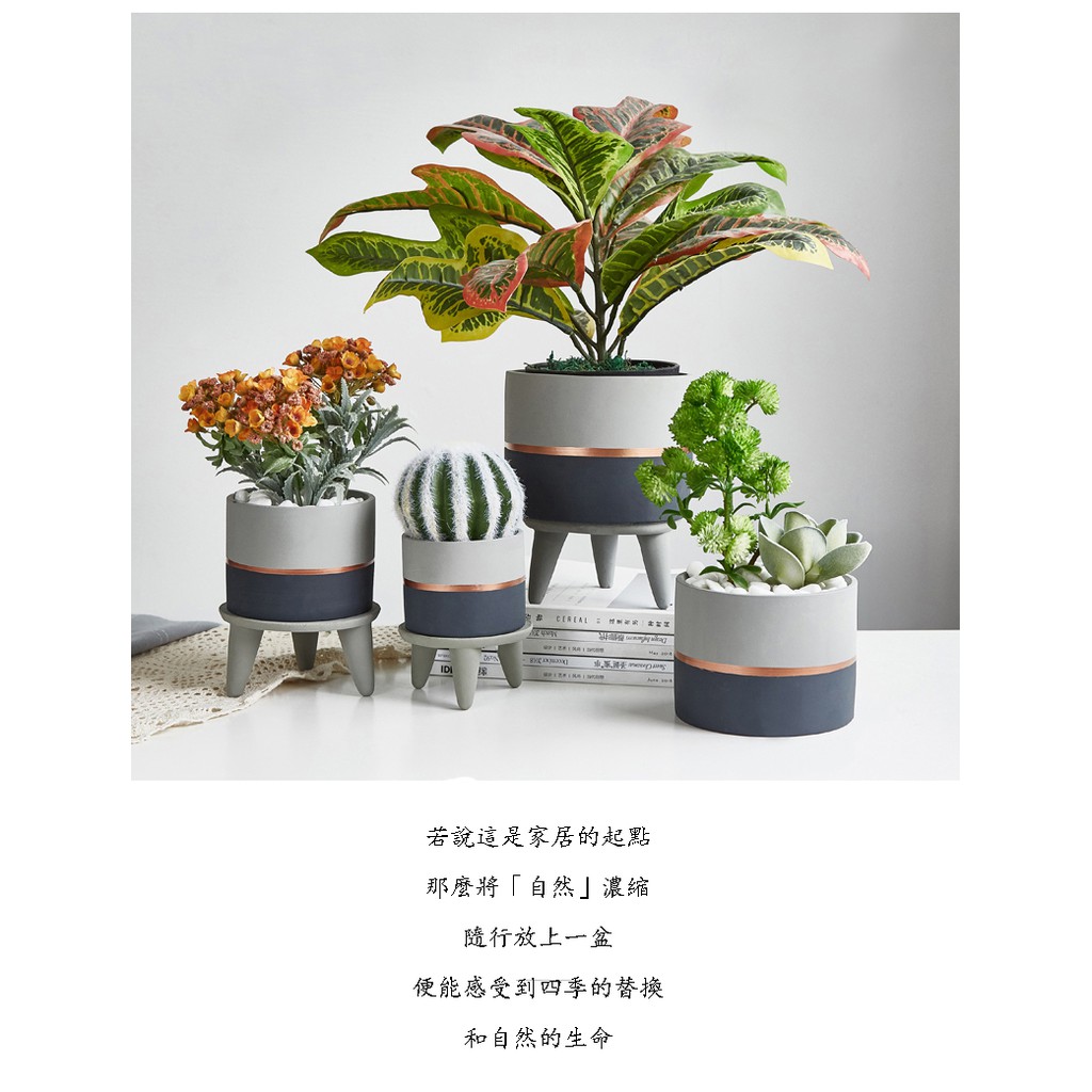 多肉植物盆栽花器 拍賣與ptt推薦商品 21年2月 飛比價格