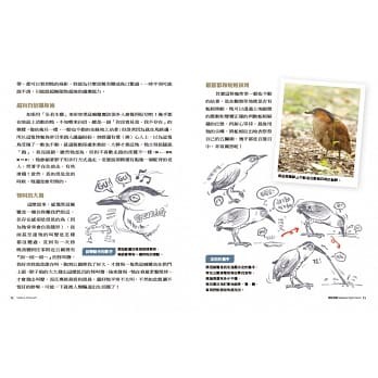 三采文化怪咖動物偵探 城市野住客事件簿 大仁的好時光 蝦皮購物