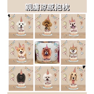 動物系列 親膚涼感抱枕 柴犬 鬆獅 紅貴賓 馬爾濟斯 法鬥 柯基 比熊 奶油臘腸 黑鬆獅 抱枕 靠枕 枕頭