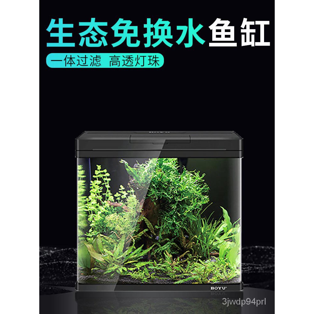 金魚草 拍賣 評價與ptt熱推商品 21年6月 飛比價格
