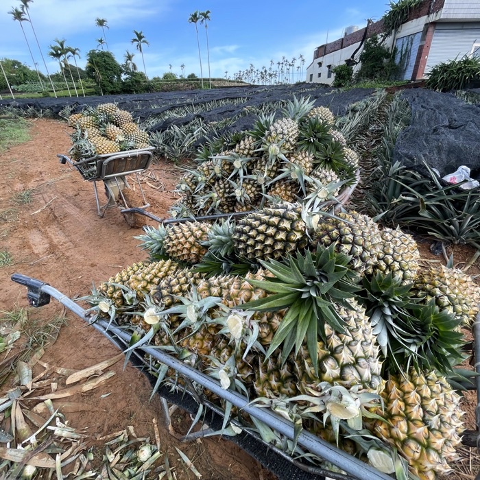 5bbc53d65295b5136d8ce099ee56f718