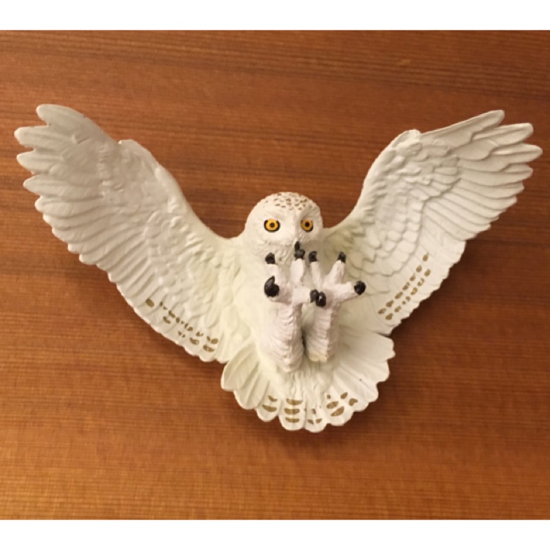 現貨特價全新未拆旭山動物園白梟白貓頭鷹轉蛋扭蛋 蝦皮購物