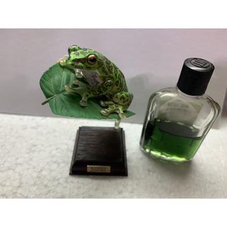 奇譚ntc 圖鑑雨蛙樹蛙青蛙蝌蚪磁石貼擬真扭蛋模型公仔生物 蝦皮購物