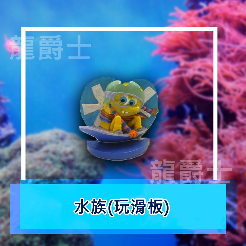 ✨現貨✨[龍爵士水族]水族(玩滑板)裝飾品 造景 擺飾 飾品 擺件 魚缸造景 魚缸擺飾 魚躲藏  D10