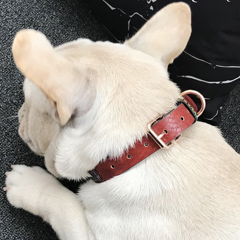 狗牽引繩大中小型犬金毛pu皮頸帶遛狗繩斗牛寵物項圈頸圈 蝦皮購物