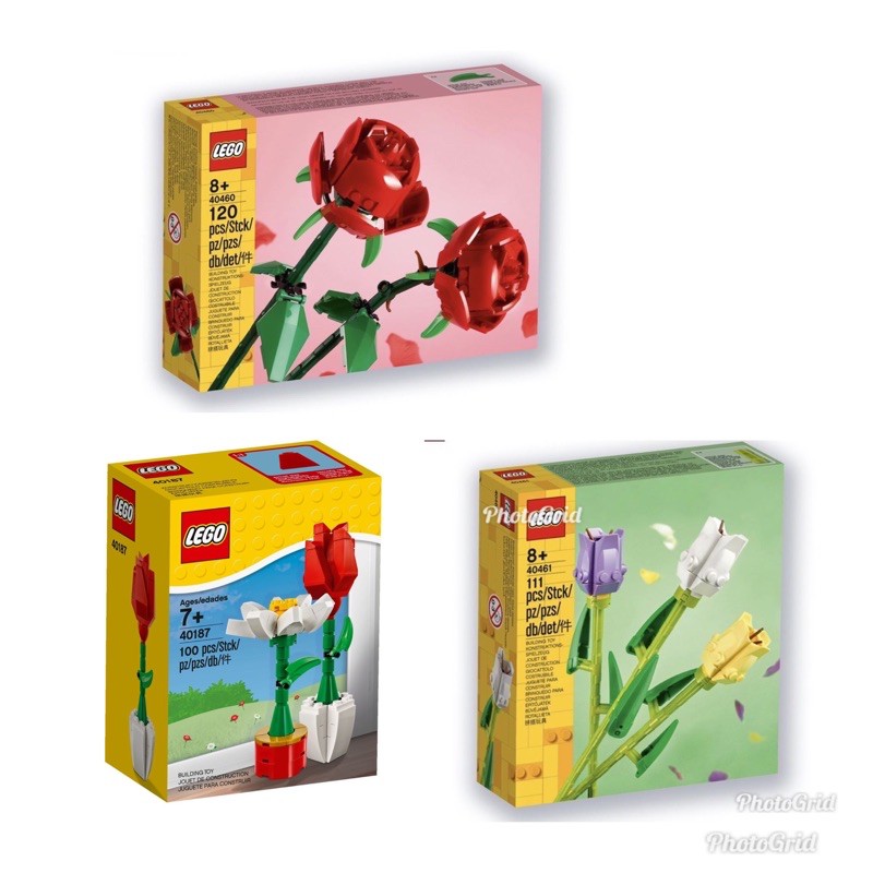 LEGO 40460 玫瑰40461鬱金香40187太陽花 全新現貨 （七張捷運站可面交）3組合售
