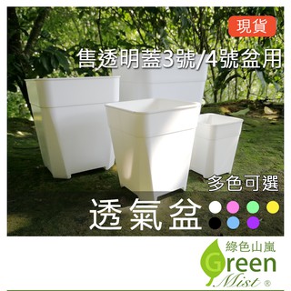 透明花盆的價格推薦 21年3月 比價撿便宜