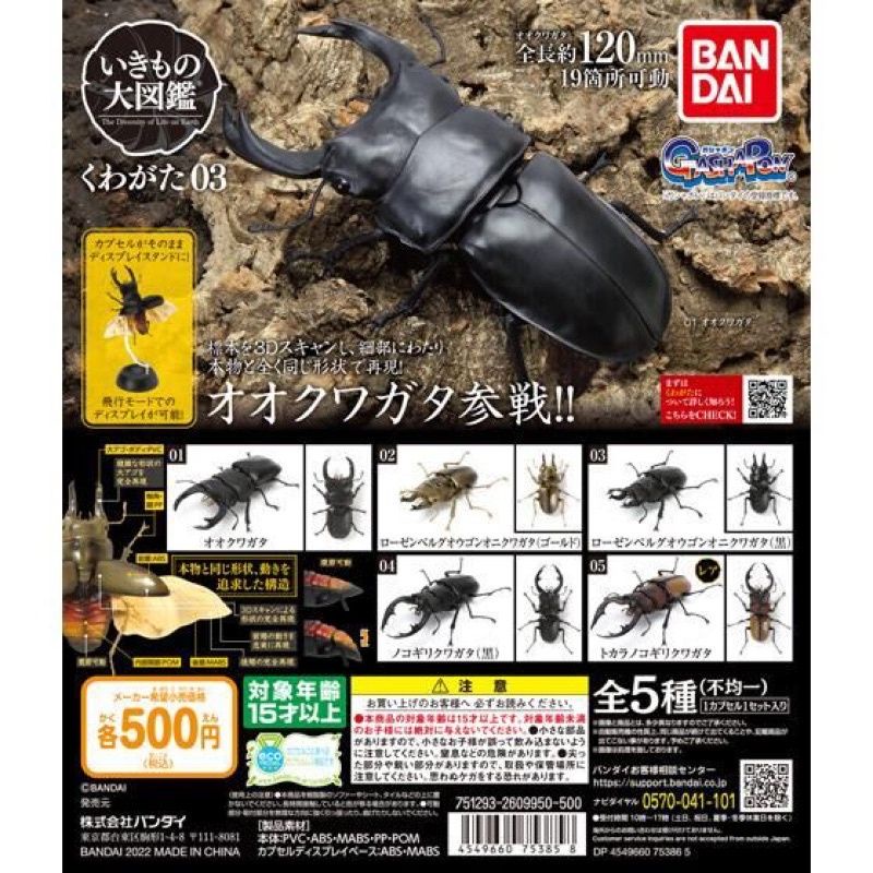 BANDAI 萬代 轉蛋 扭蛋  鍬形蟲環保扭蛋03 生物大圖鑑 鍬形蟲03 可動 盒玩