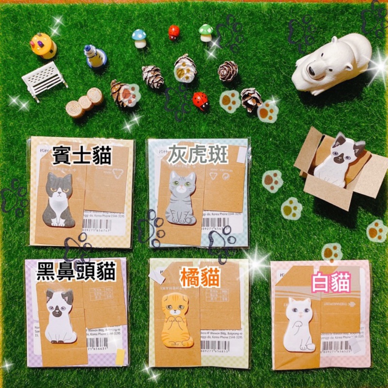 《現貨 買10送1》貓咪便利貼 DIY紙箱貓