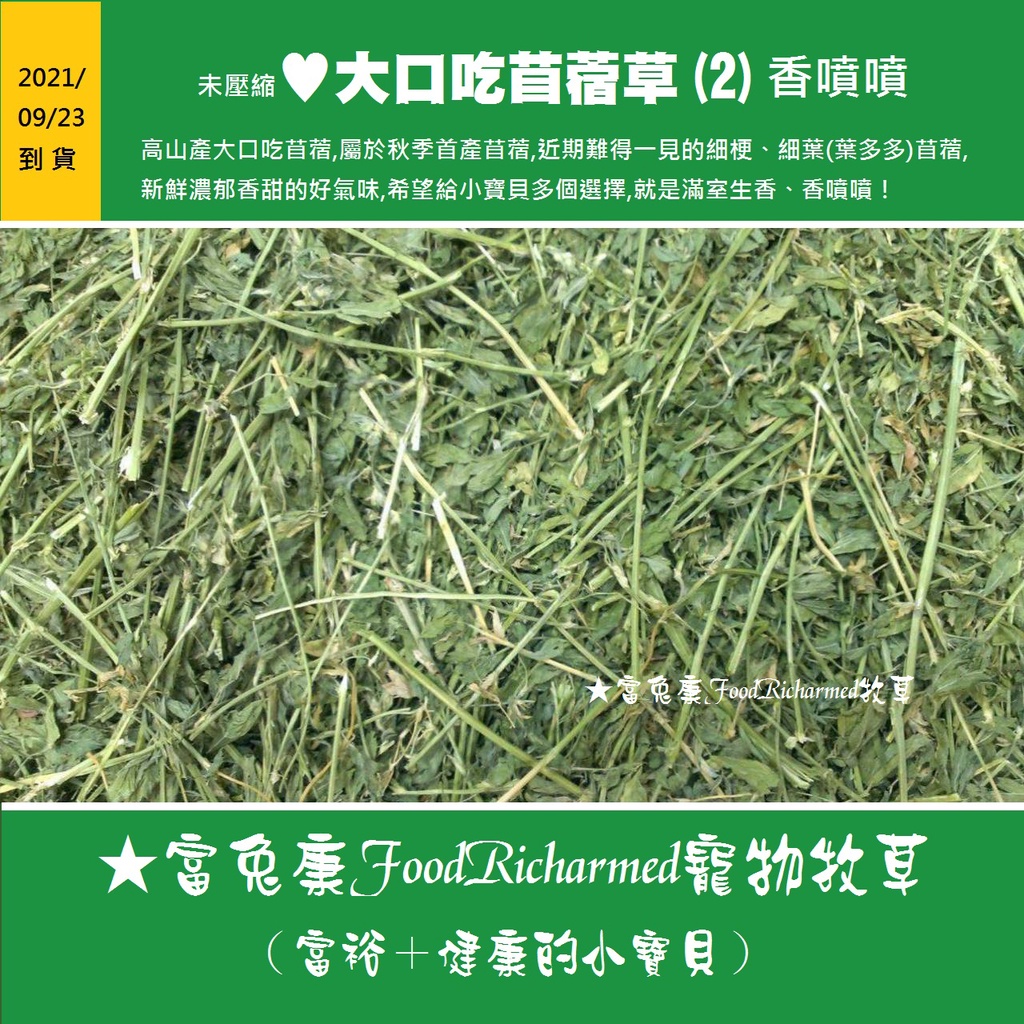 高仿錶萌兔坊 紫花苜蓿草 烘乾式牧草 苜蓿草 I Position 優惠推薦 21年10月 蝦皮購物台灣