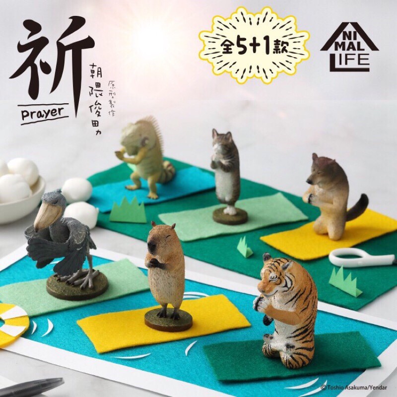 現貨正版授權朝隈俊男animal Life 祈公仔盒抽盒玩祈福動物8入一中盒六款不重複研達yendar 蝦皮購物