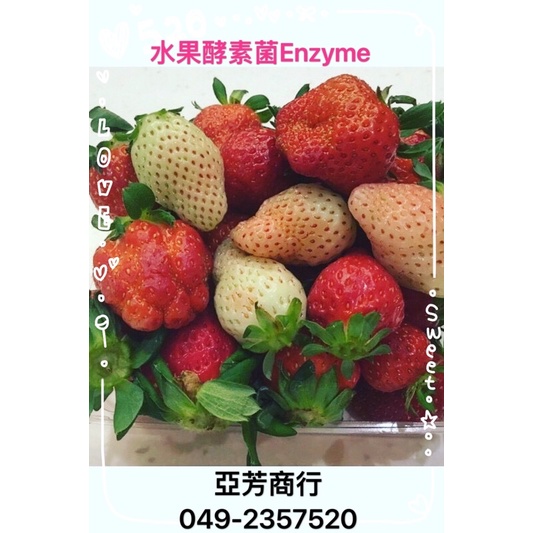 水果酵素Enzyme菌🥭🍇🍈🍌🍊🍉糙米酵素菌🌾🌾🌾