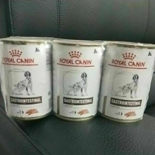💖惠康小舖💖ROYAL CANIN 皇家 狗 低脂罐頭 腸胃 腸胃道 處方 （420g）1組6罐
