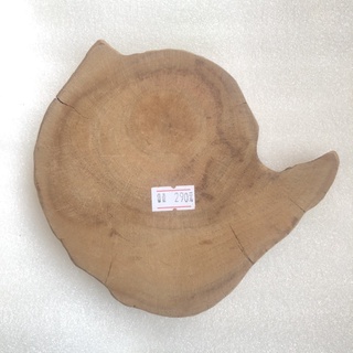 ［全新］臺灣龍柏 木質木頭茶几裝飾品