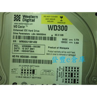 【登豐e倉庫】 YF611 WD300BB-00CCB0 30G IDE 硬碟