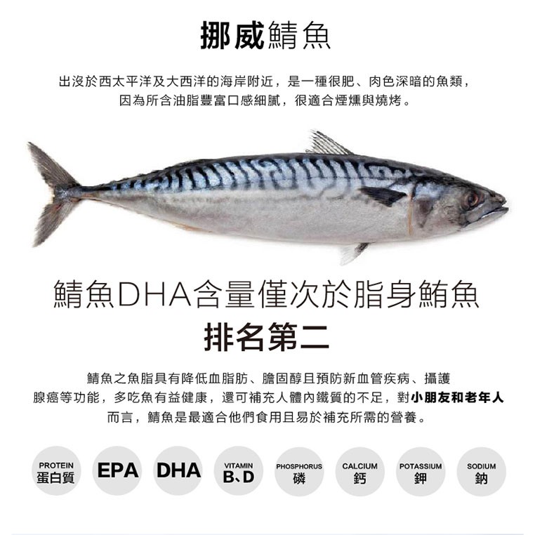 紅毛港海鮮市集頂級挪威鯖魚一夜干380 5 燒烤 蝦皮購物