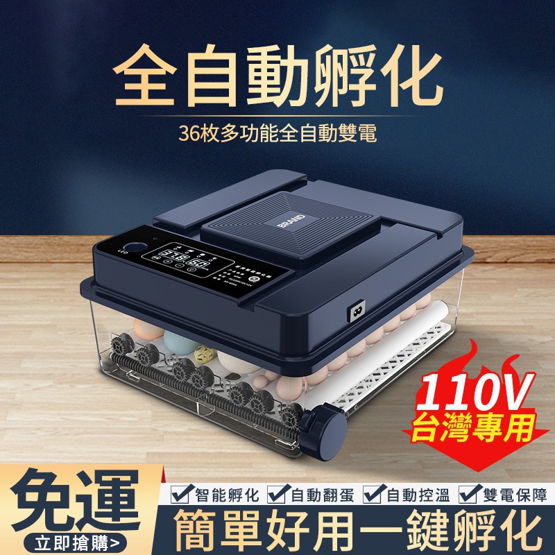110v孵化機孵蛋器孵蛋箱迷你孵化器小雞蛋孵化箱孵蛋孵化孵蛋機全自動雞鴨鵝孵蛋器小型 蝦皮購物