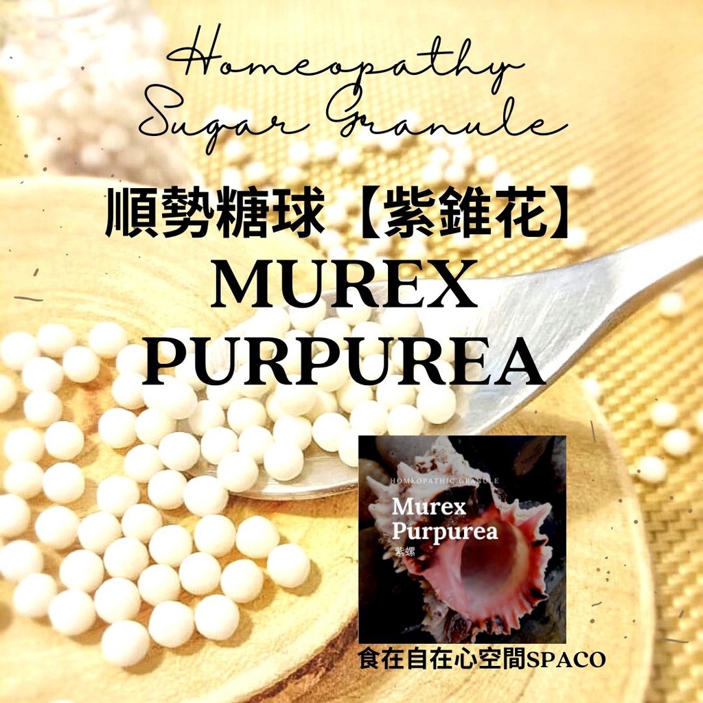 順勢糖球【紫螺●Murex Purpurea】Homeopathic Granule 9克 食在自在心空間