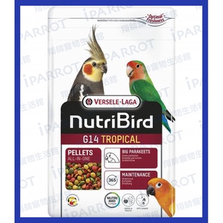 實體門市｜比利時凡賽爾｜歐樂斯｜Nutribird G14｜滋養丸(1KG)｜中小型鸚鵡｜鸚鵡飼料｜翔帥寵物生活館