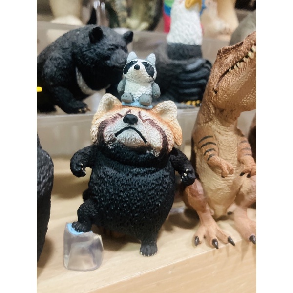 朝隈俊男氣噗噗第一彈小浣熊 蝦皮購物