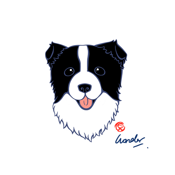 免運費 台灣賣家 定量麵條收納罐麵條收納盒五穀雜糧罐義大利麵保鮮盒廚房收納保鮮盒 蝦皮購物