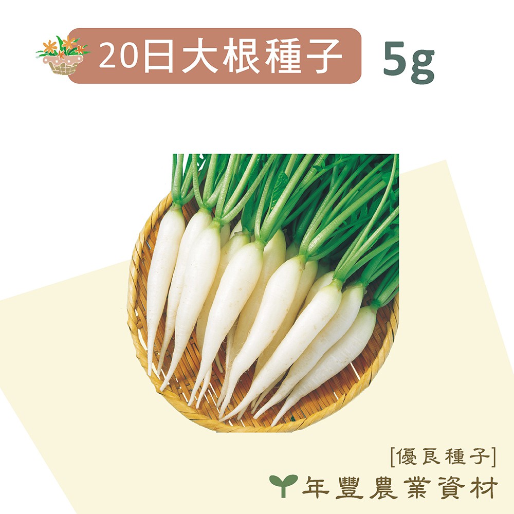優良種子 迷你白蘿蔔 日本改良種日大根 5公克 約800粒種子 37公克裝 蝦皮購物
