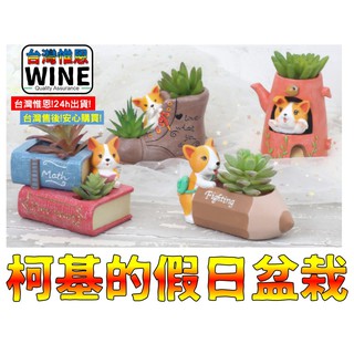WINE臺灣惟恩 微景觀 柯基的假日盆栽 柯基 花盆 多肉 盆栽 書櫃擺飾 佈置 裝飾 室內佈置 狗 小狗 1