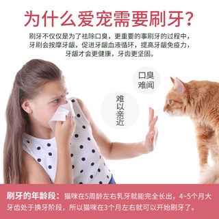 貓咪牙刷寵物牙膏套裝刷牙神器 去牙結石貓貓除口臭小貓口腔清潔