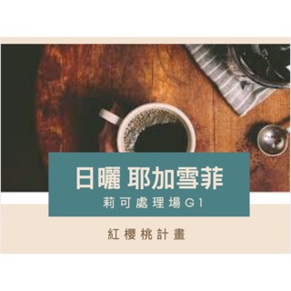 「鮮/焙」 SCA國際認證 黑果精品咖啡 衣索比亞 耶加雪菲 莉可處理廠 450g