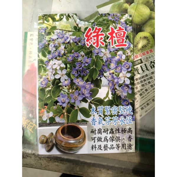 方方園藝-方方園藝-黃蜜文芒果生過果3-4年苗特價一棵800元高度120-150公分高美直帶8吋盆