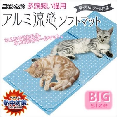 日本 Marukan 》寵物涼感床 透氣涼床 涼墊 散熱墊 睡墊 夏季涼爽睡床 CT-264（L）中大型犬，每件720元