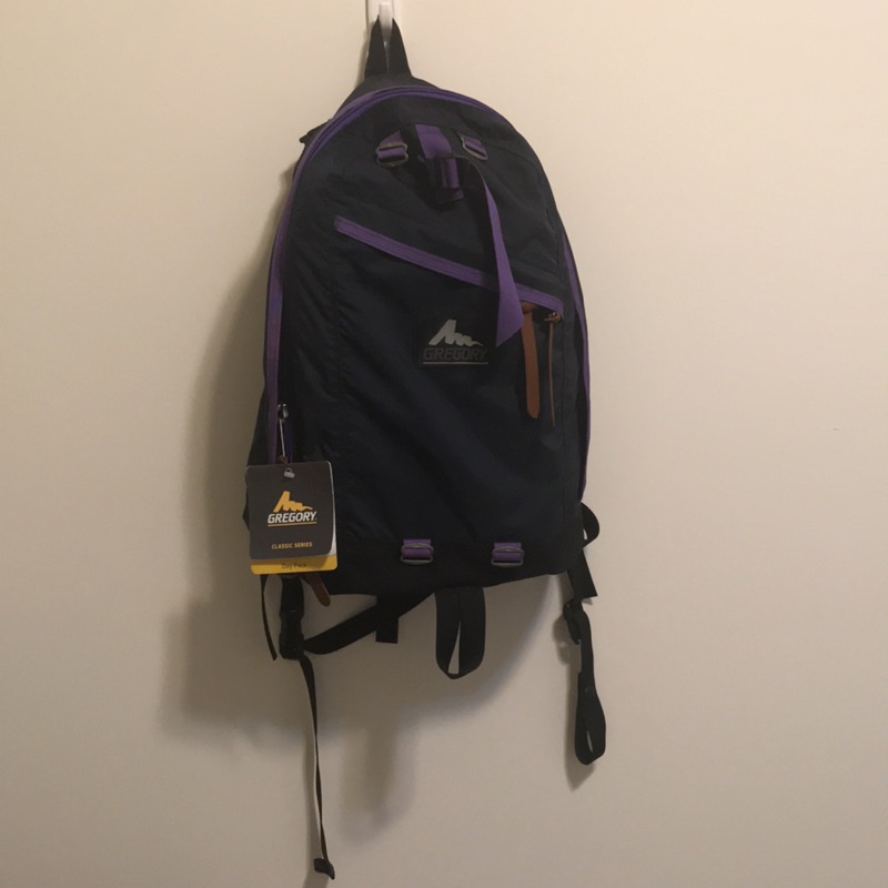 gregory day pack 22l