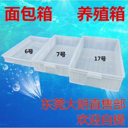 長方形塑膠箱 Ptt討論與高評價網拍商品 21年8月 飛比價格