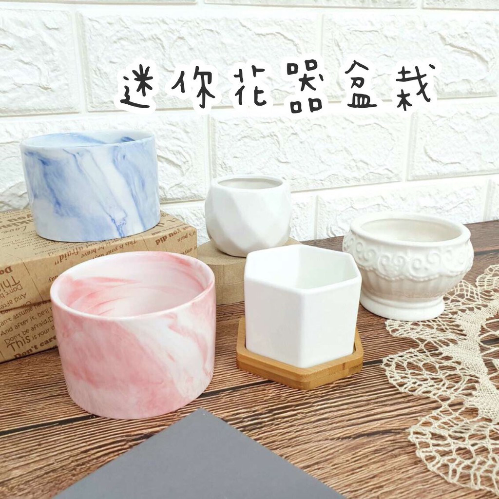 台灣現貨 迷你花器盆栽 多肉植物迷你盆栽園藝用品造型盆栽居家裝飾小花盆園藝器具 蝦皮購物