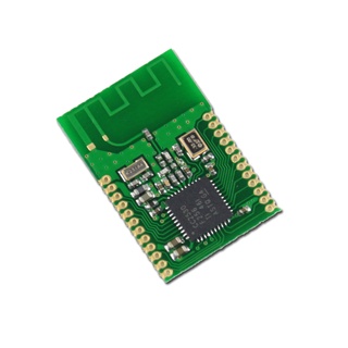 【現貨】ZG-M0 Zigbee 串列模組 原裝CC2530晶片 Mesh網路 低功耗 可達200米 物聯網開發必備