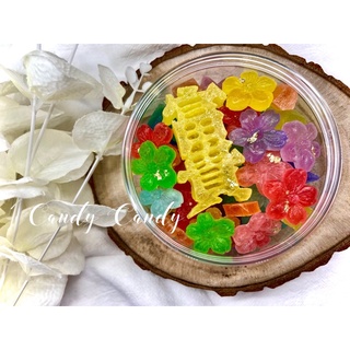 糖堂candy Candy 線上商店 蝦皮購物