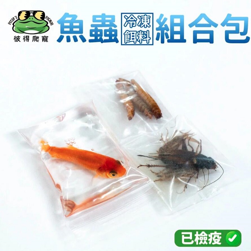 🐸彼得角蛙🐸 冷凍餌料組合【魚×蟲】🐟 魚+大麥蟲+白蟋蟀