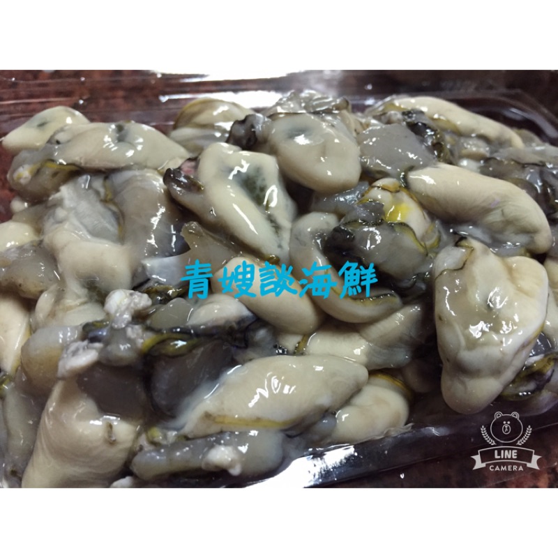 澎湖野生石蚵