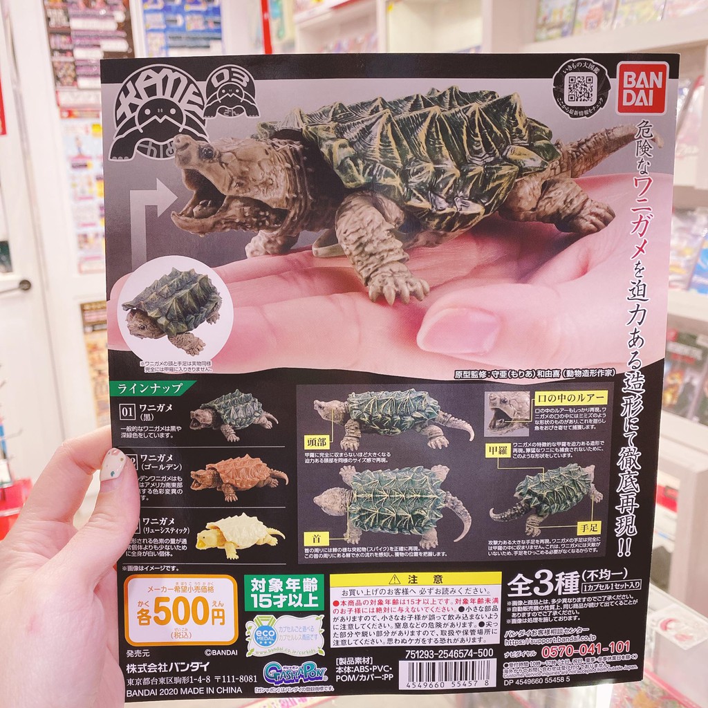［wenwens] 現貨 BANDAI 萬代 烏龜 轉蛋 環保扭蛋 P3 鱷龜篇 扭蛋 環保扭蛋 烏龜 鱷龜 陸龜 可動