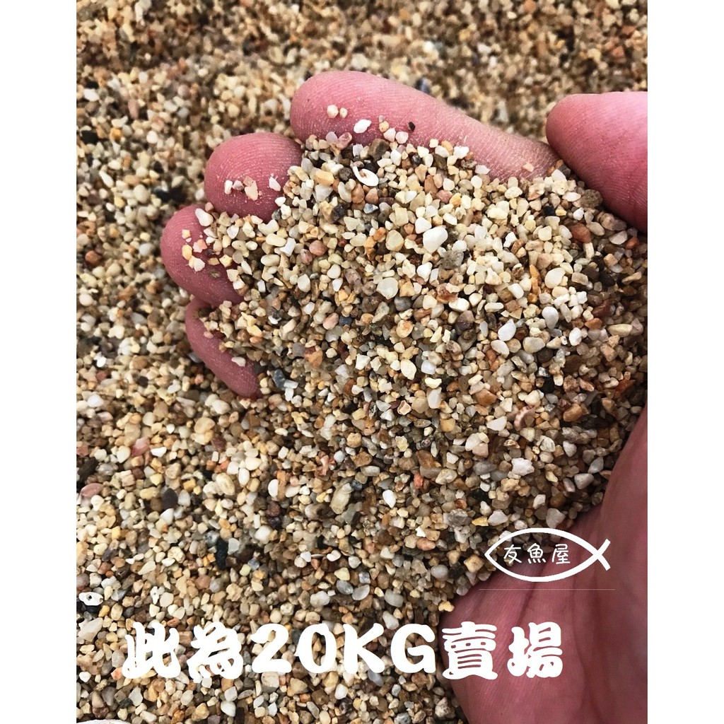 新款美國細沙20kg 實重約19kg 袋裝 水草細砂矽砂底沙底砂造景台南批發價 蝦皮購物