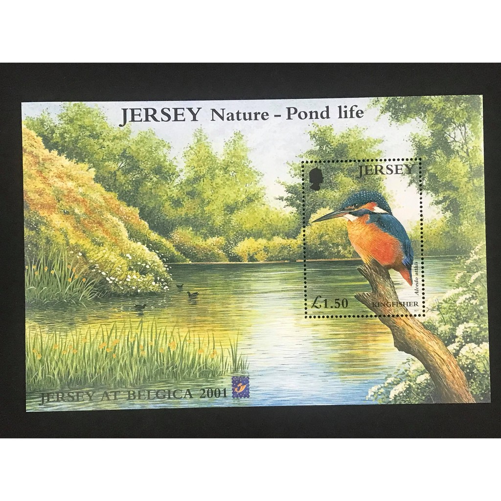 澤西島郵票 2001 池塘自然生態 比利時郵展加蓋 小型張 1全