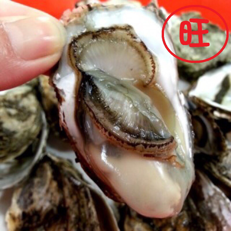 產地直送 王功蚵仔牡蠣帶殼牡蠣中秋烤肉海鮮 蝦皮購物