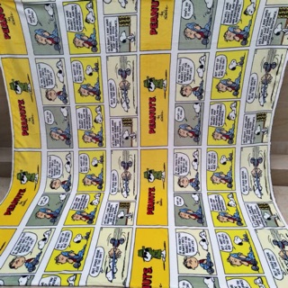 [現貨]可愛卡通 史努比 花生漫畫 SNOOPY 查理·布朗 法蘭絨 毛毯 辦公室 冷氣房 幼稚園 午睡毯 交換禮物