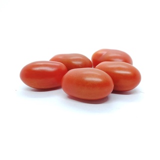 長櫻桃番茄種子~~Long Cherry Tomato~經典櫻桃番茄品種，產量高，口感佳