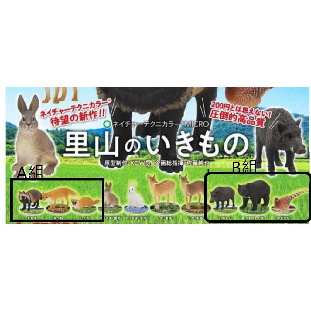 現貨 日版 IKIMON 扭蛋轉蛋 NTC 里山動物 10入1組