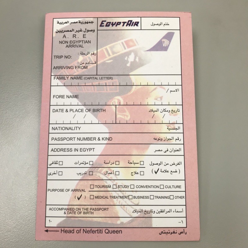 《彩虹小舖》埃及航空入境卡