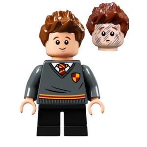 玩樂趣 LEGO樂高 哈利波特 76383 Seamus Finnigan  hp268