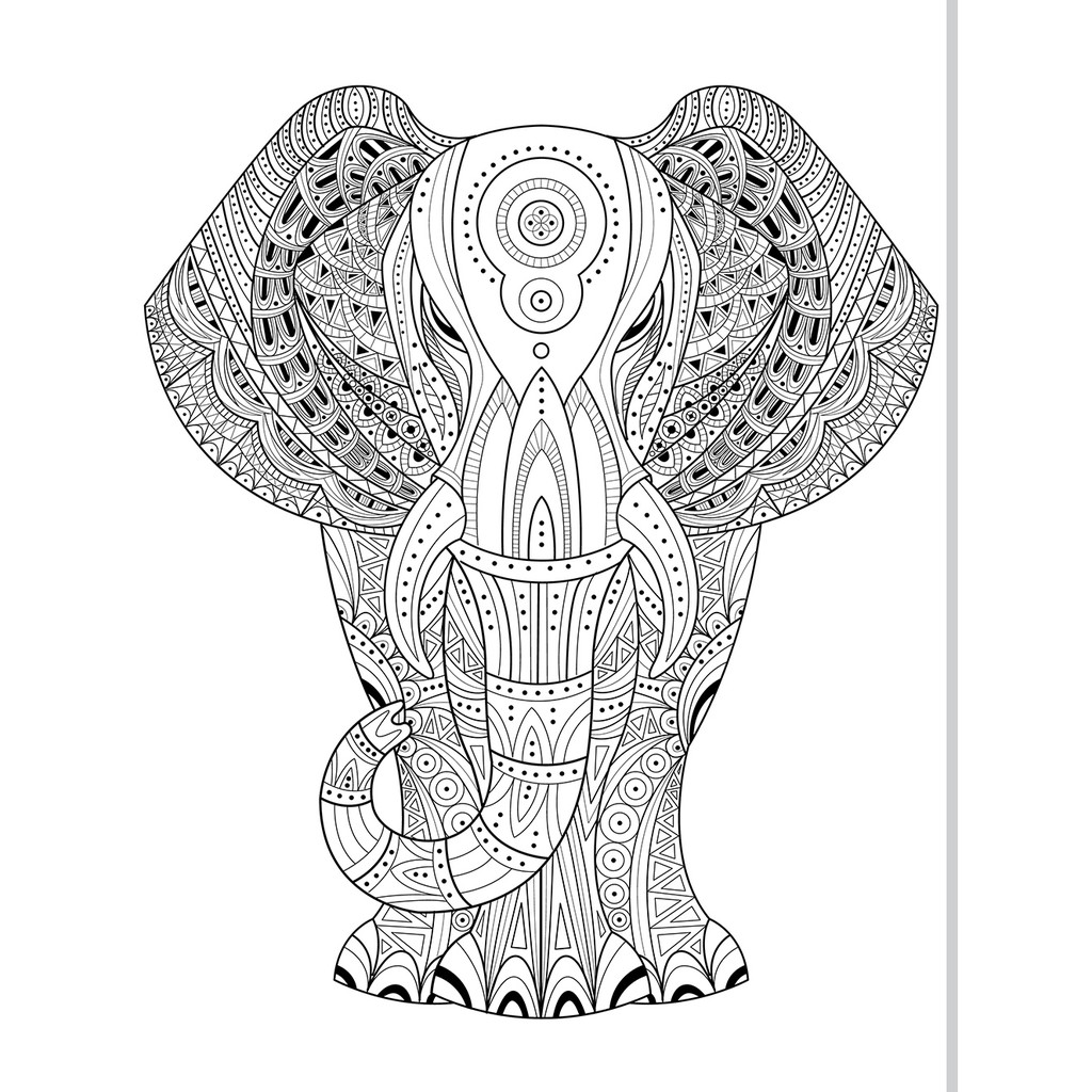 動物纏繞畫 隨書附贈36色色鉛筆 蝦皮購物