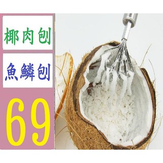 【臺灣現貨不用等】不鏽鋼椰子刨 椰肉刨 魚鱗刨刮魚鱗器工具 廚房用品 現貨 魚鱗刨